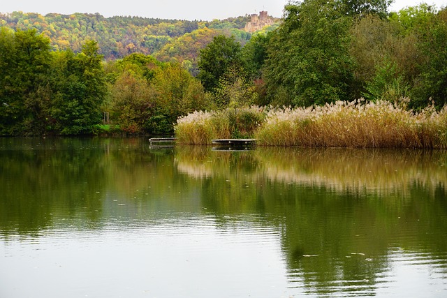 Freizeitmöglichkeiten in Lörrach